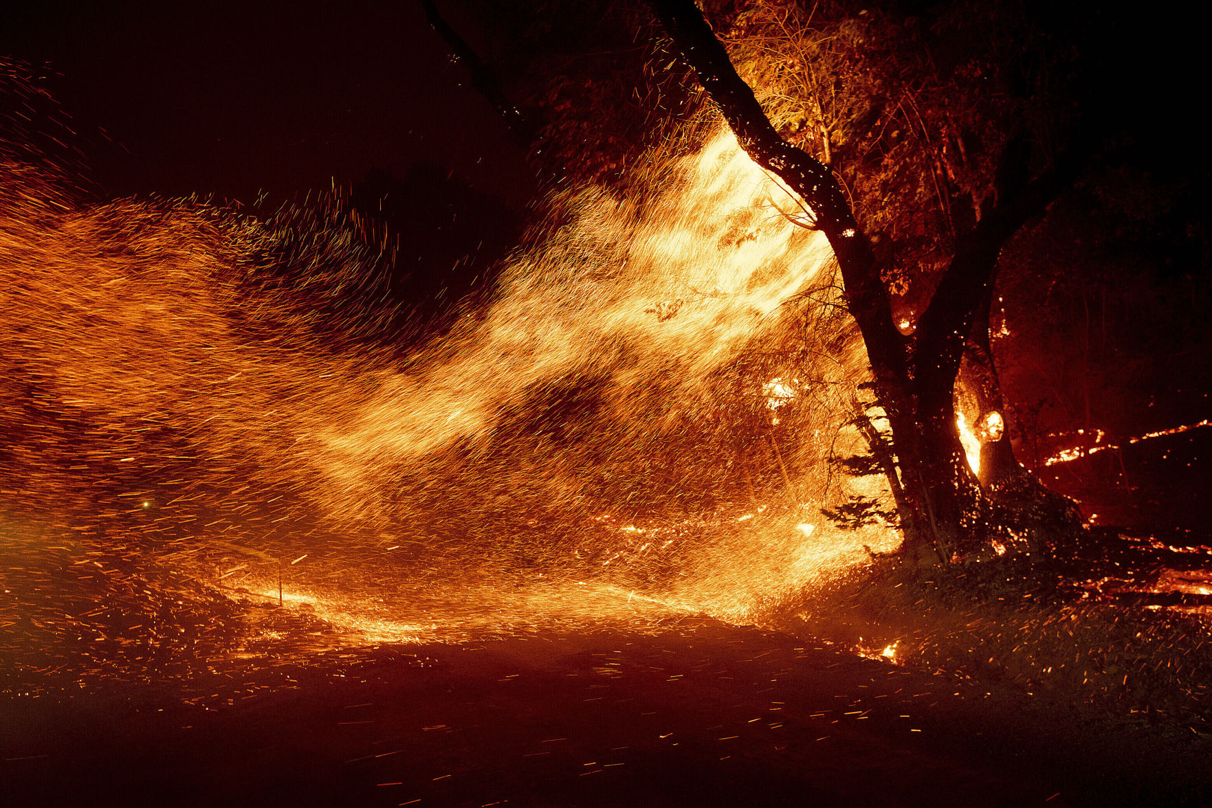 California Wildfires Photo Gallery
